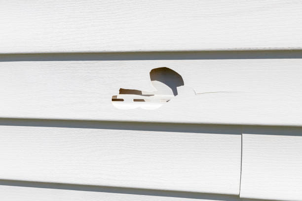 Property Management Cleanouts in Trumansburg, NY