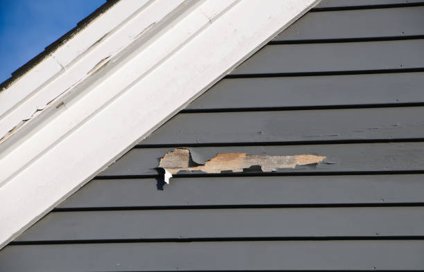 Best Property Management Cleanouts  in Trumansburg, NY