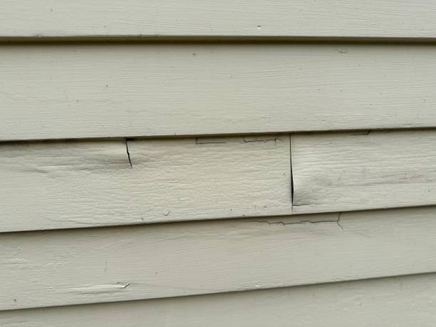 Best Property Management Cleanouts  in Trumansburg, NY